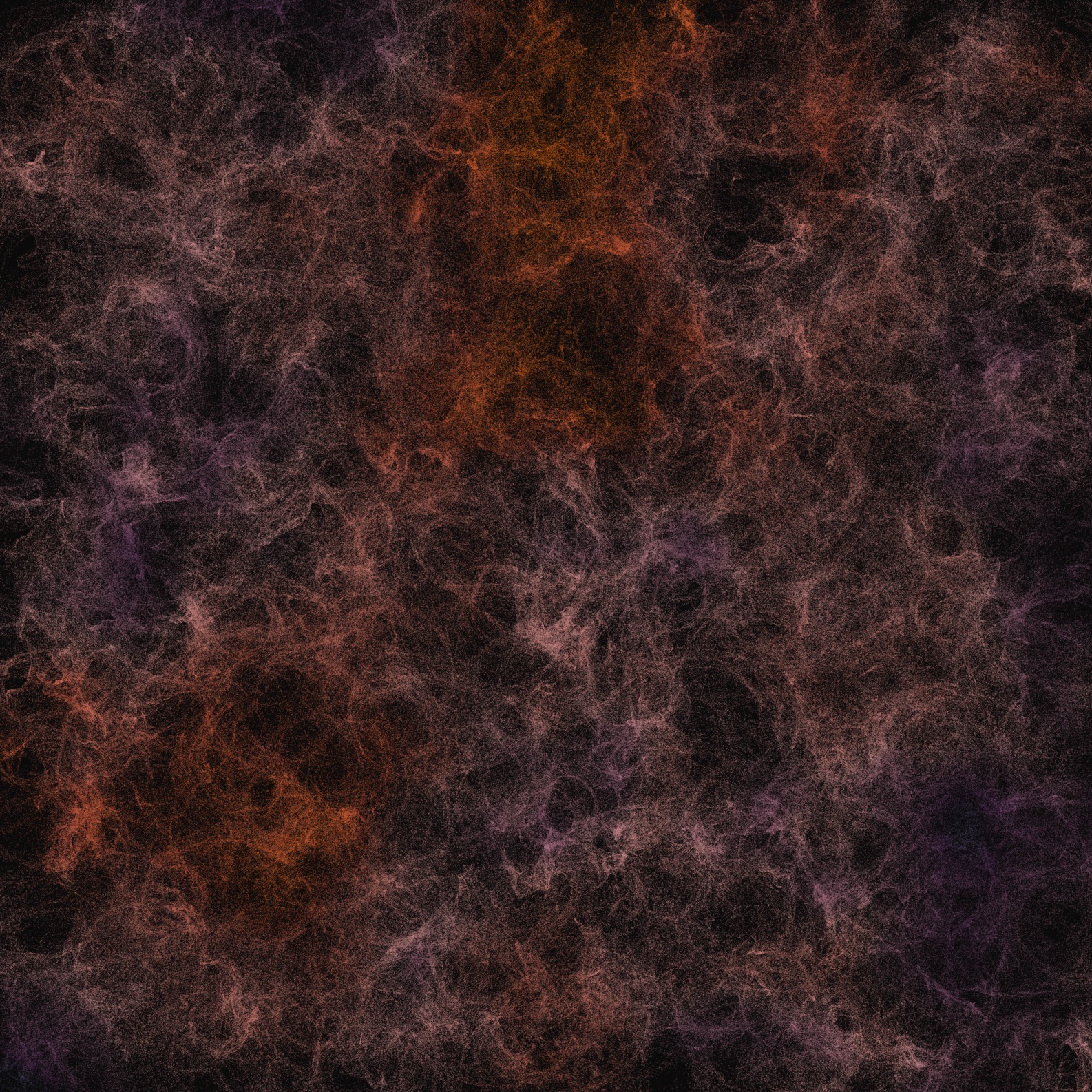 Between Burn and Bloom